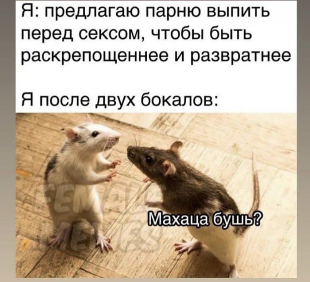 Лучшие шутки и мемы из Сети
