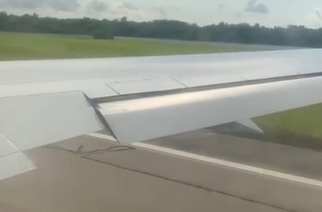 Два орла стали проблемой для самолета, вылетавшего из Кубы в Москву