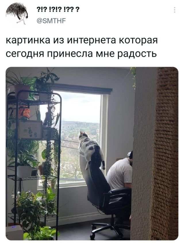 Подборка забавных твитов обо всем