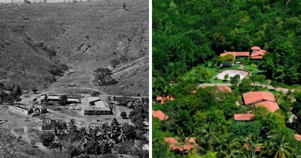 Восстановленные тропические леса в бразильском штате Минас-Жерайс — фото 1998 и 2012 годов