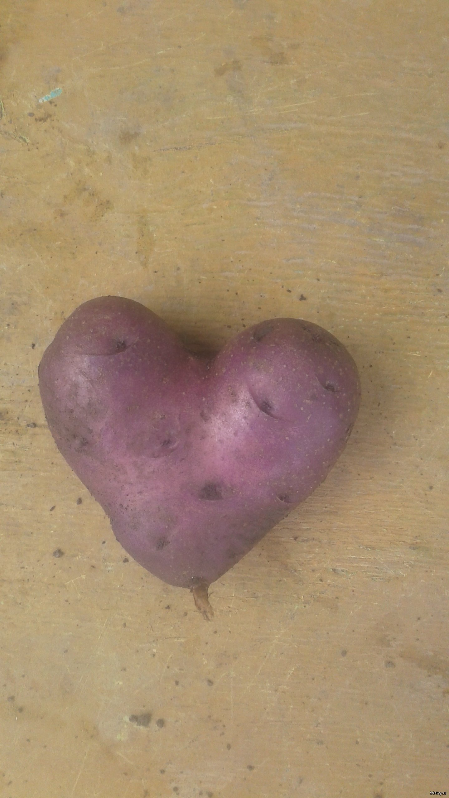 картофельное сердце