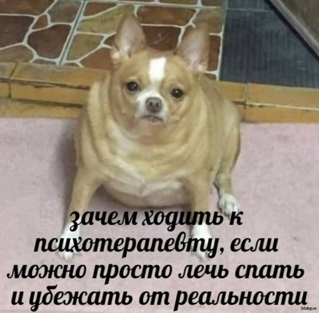Бюджетный способ психотерапии!