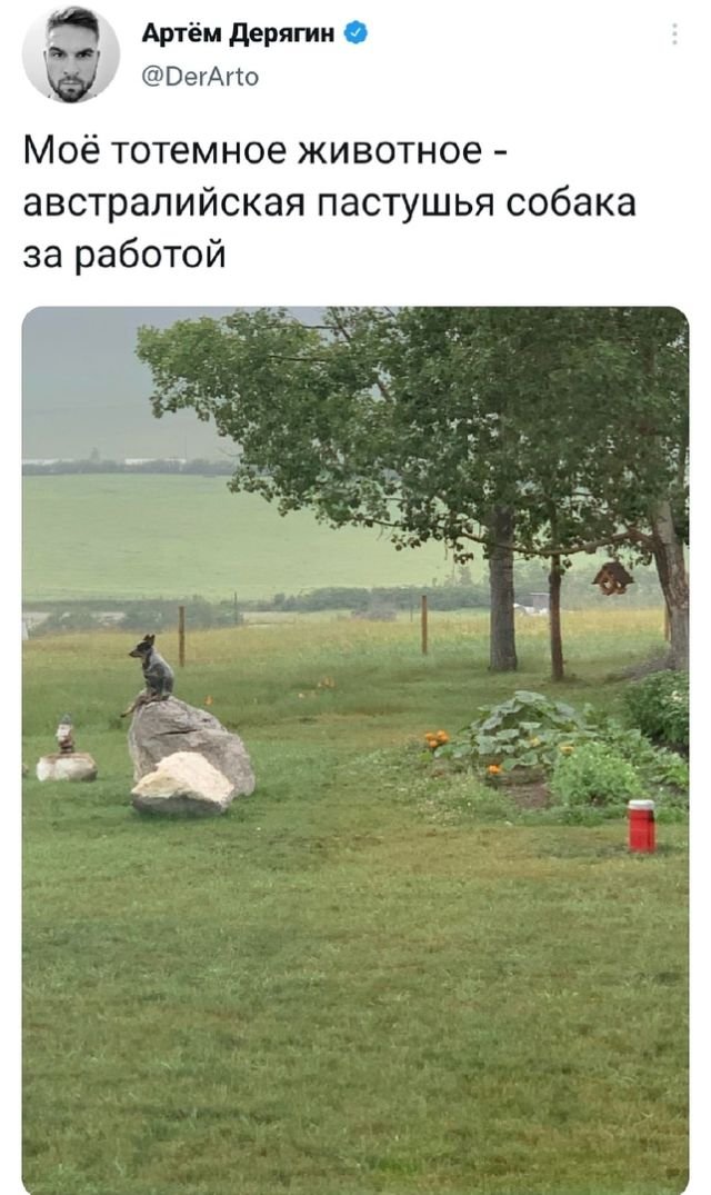 Подборка забавных твитов обо всем
