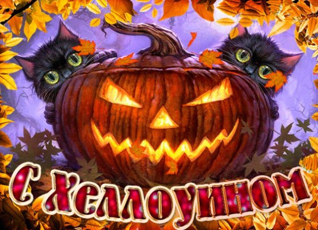 Красивые картинки на Хэллоуин для ватсап