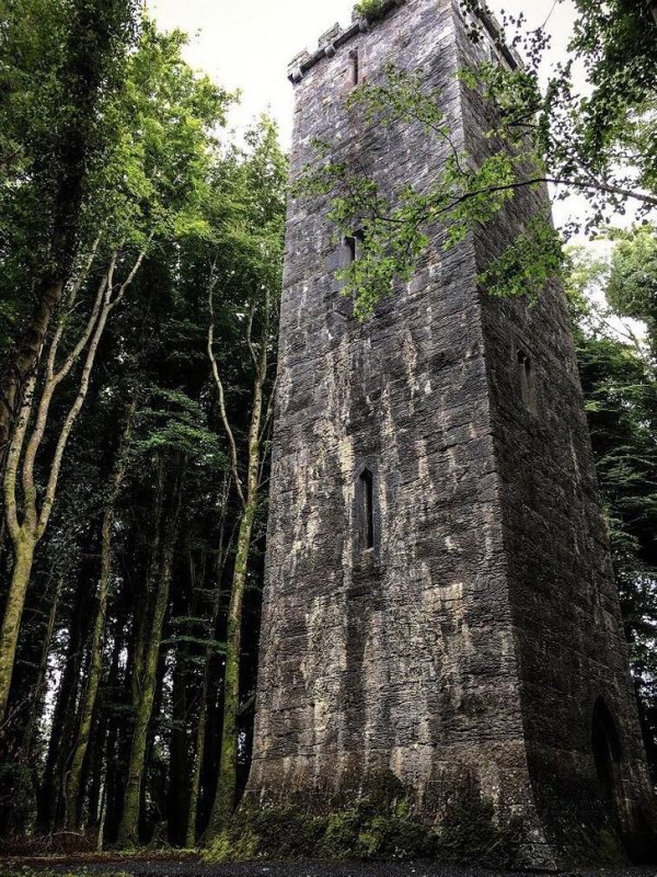 &quot;Мне кажется, я нашел в ирландском лесу настоящую башню принцессы из сказок&quot;