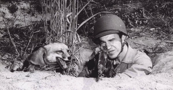 Рядовой морской пехоты США Гарри Вебер на учениях со своим домашним лисом Расти, 1943 год
