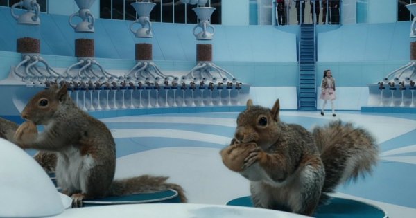 Настоящие белки в фильме «Чарли и шоколадная фабрика» (2005) Настоящие белки в фильме «Чарли и шоколадная фабрика» (2005)