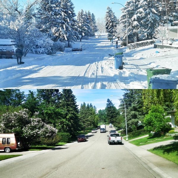 Одна и та же улица в первый день зимы и в первый день лета. Канада