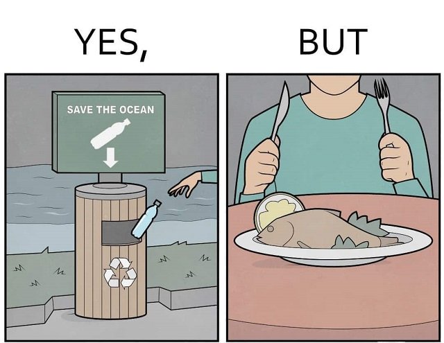 Спасти океан, но для кого?