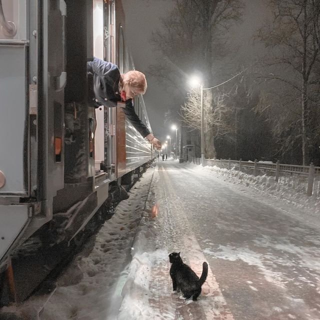 Проводница поезда Псков-Москва кормит кота Феликса во время короткой остановки на Старой Руссе