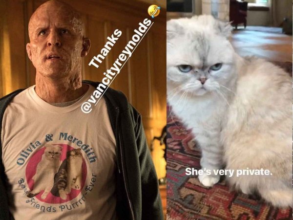 В «Дэдпуле 2» (2018) главный герой носит футболку с кошками, которые принадлежат певице Тейлор Свифт