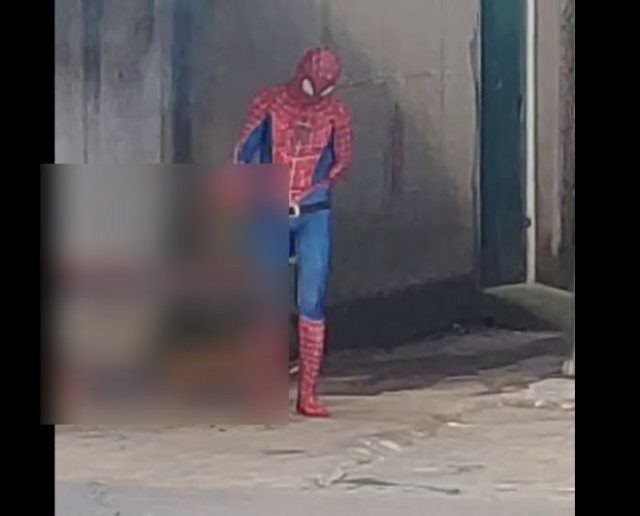 Чем занимается Человек-паук, когда в городе все спокойно?