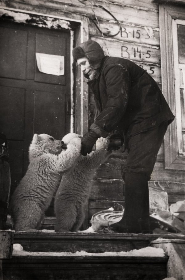 Сотрудник метеостанции кормит осиротевших медвежат на Новой Земле, 1970-е
