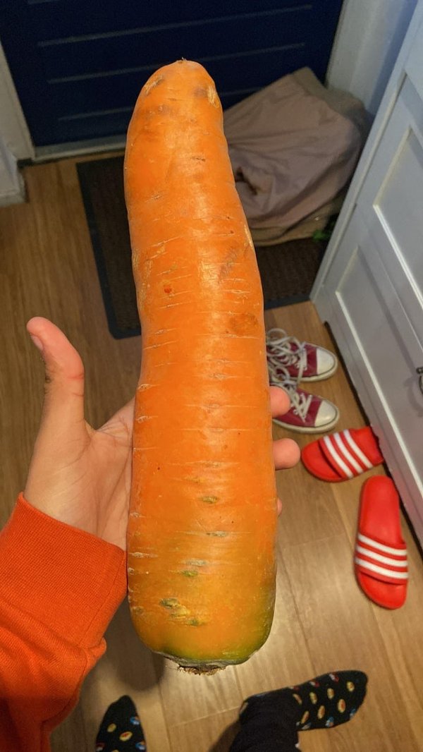 Такой морковкой можно кого-нибудь нокаутировать