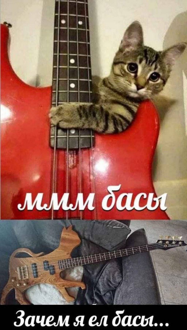 Шерстяные шутки и мемы