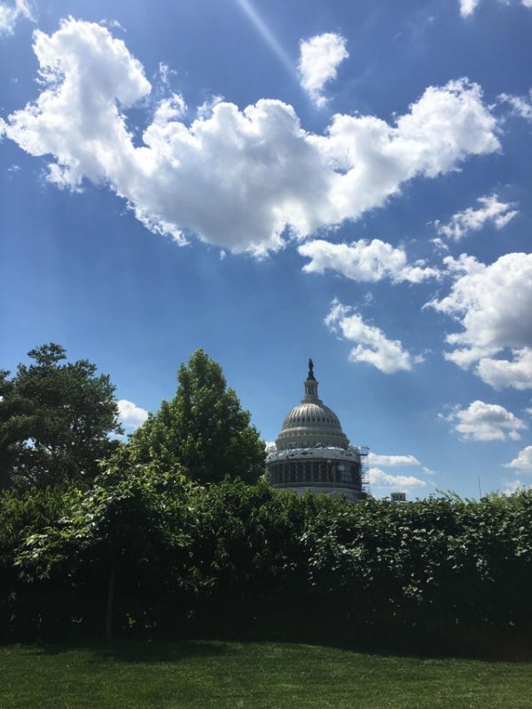 Капитолий, Вашингтон, США — вид с лужайки Библиотеки Конгресса