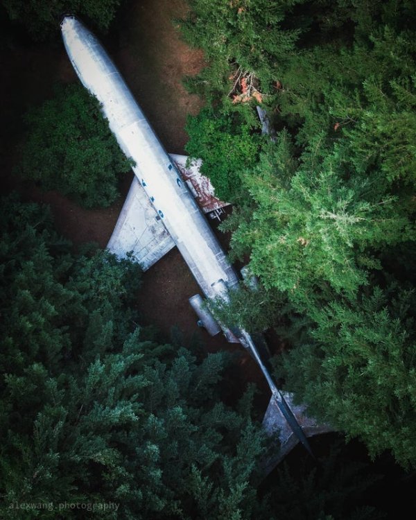 Самолет посреди леса в штате Орегон