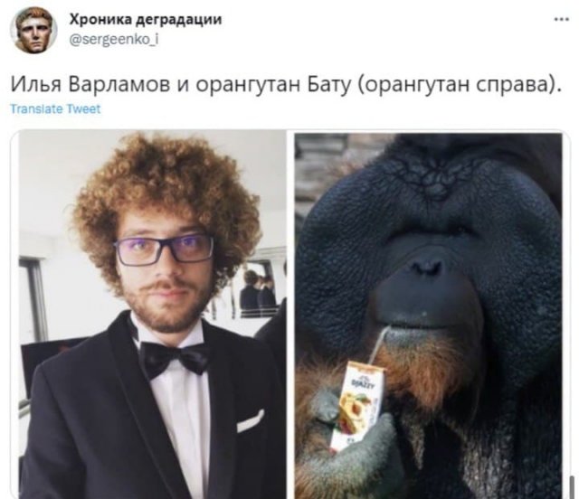 Обезьяна Бату - кандидат на талисман Новосибирска, которого сняли с выборов