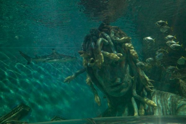 Фигура Медузы в океанариуме Грейт-Ярмута, Англия