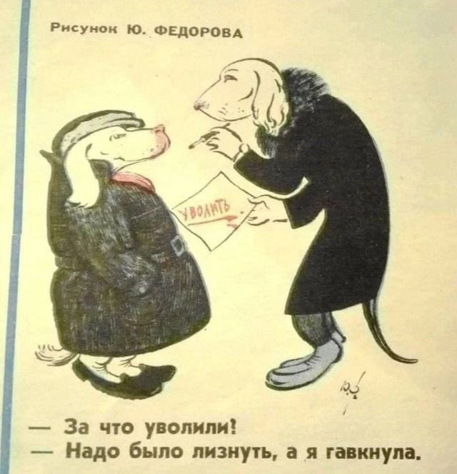Собачьи проблемы на советской карикатуре.