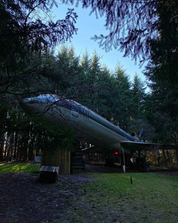 Дом-самолёт находится в одном из лесов штата Орегон