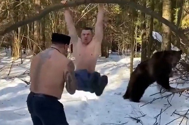 Обычный день в России: мужики дерутся, а медведь раскачивает дерево