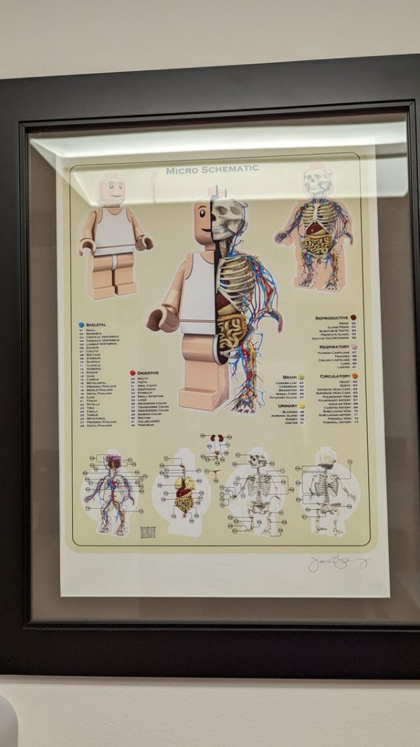 Анатомия LEGO-человечка в кабинете врача