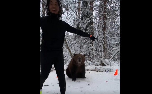 Неожиданное умение от медведя