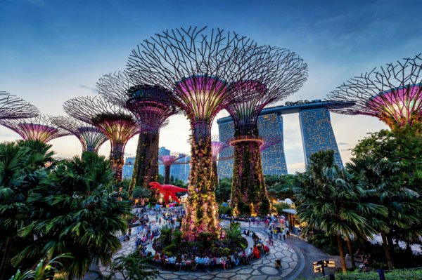 Сады у залива, Сингапур