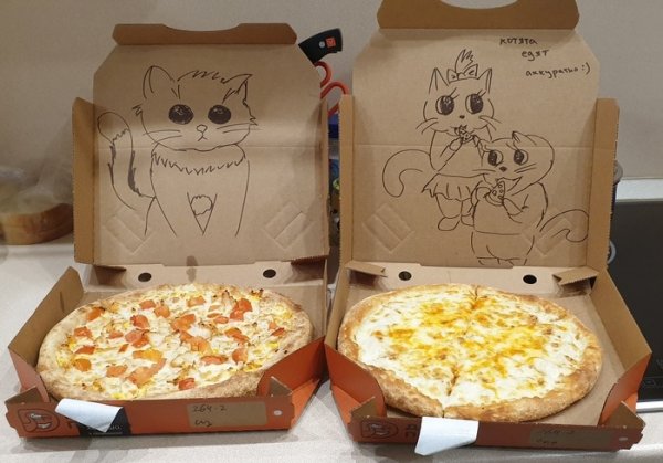 Заказали на ужин пиццу. В комментариях от балды написал просьбу нарисовать котят на коробке для сына