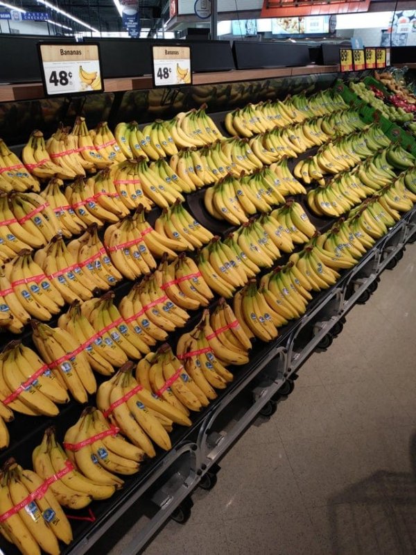 Бананы упорядочены по степени зрелости