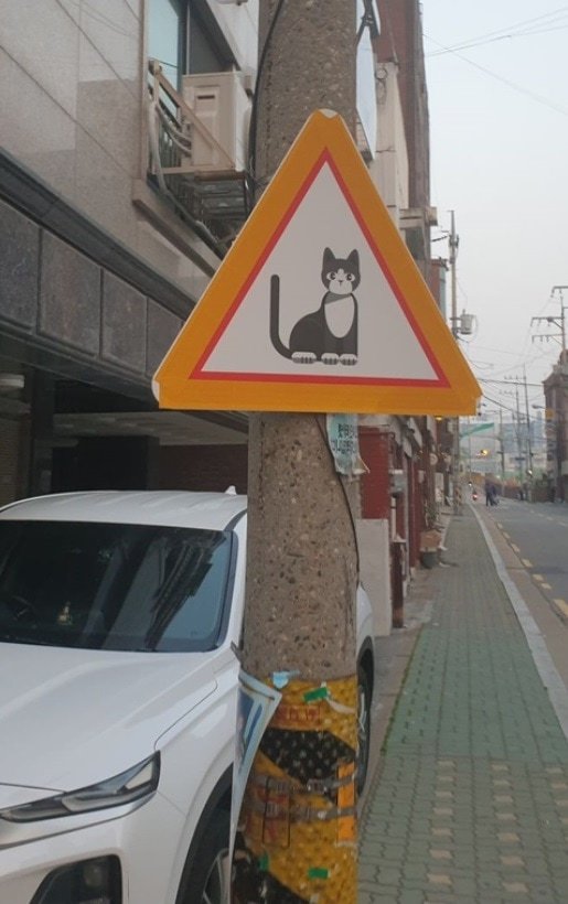 Это не знак кошачьего перехода. Табличка означает, что поблизости находятся кошки