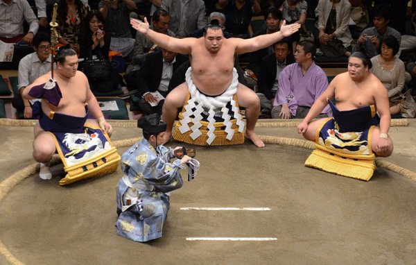Сумо — один из самых популярных видов спорта в стране. Большинство успешных борцов сумо на данный момент монголы