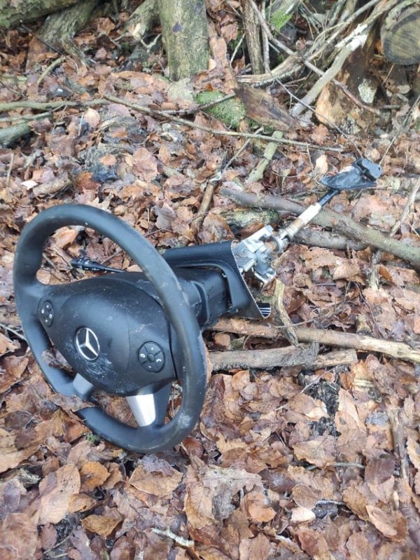 Во время прогулки по лесу нашёл руль