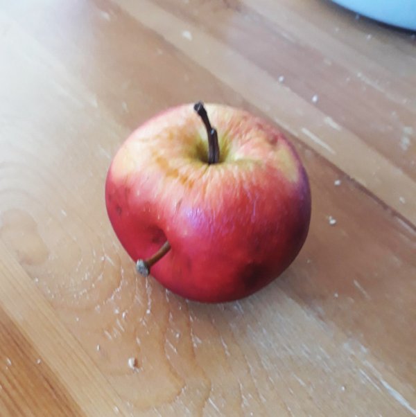 Яблоко, которое выросло с 2 веточками