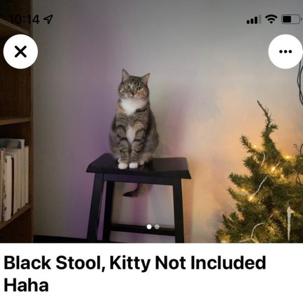 «Черный стул. Котик не входит в стоимость».