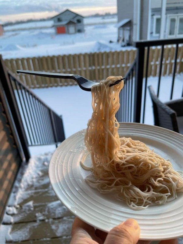 Спагетти в тундре