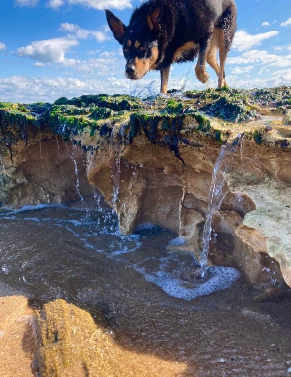 Гигантская собака над огромной скалой