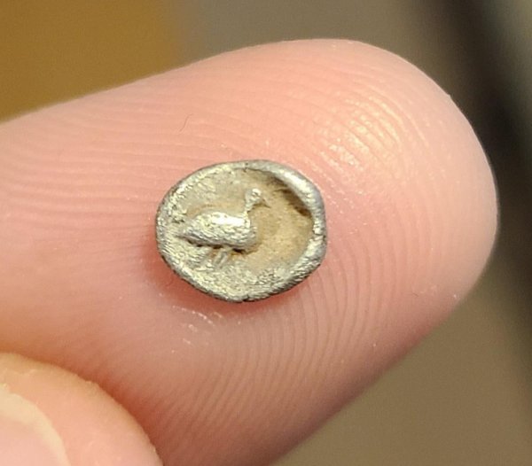 «Моя девушка захотела, чтобы у меня была эта древняя монетка из Греции, потому что на ней изображена утка»