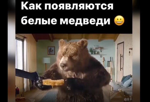 Смешная реклама о том, как появляются белые медведи