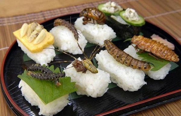 У японцев, как и у других азиатов, очень необычные предпочтения в еде