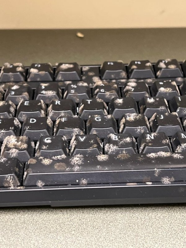 Только что вызвали заменить клавиатуру на работе. Как это произошло?