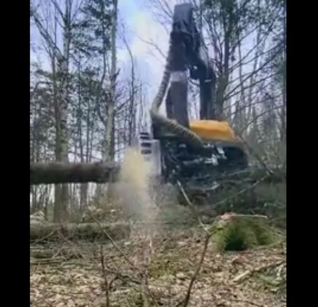 Современная техника помогать пилить деревья