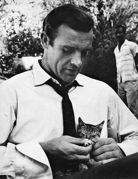 Шон Коннери играет с котейкой на Ямайке во время съёмок фильма «Доктор Ноу», 1962 год