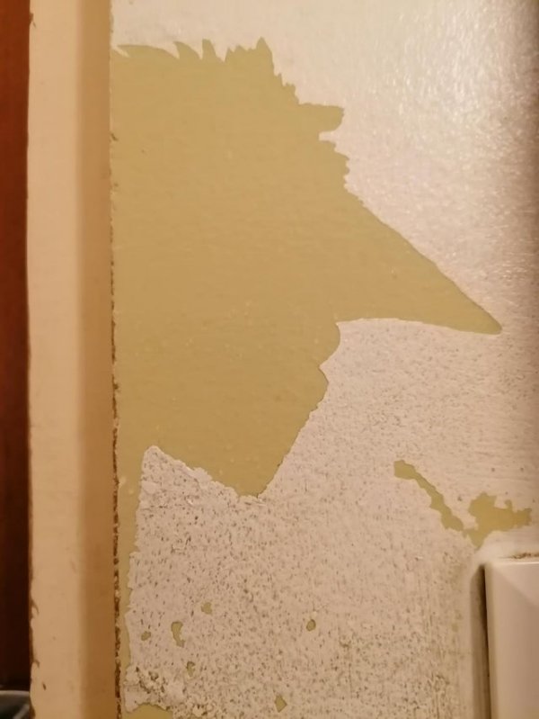 Поцарапанная краска на стене ванной выглядит как лицо с большим острым носом