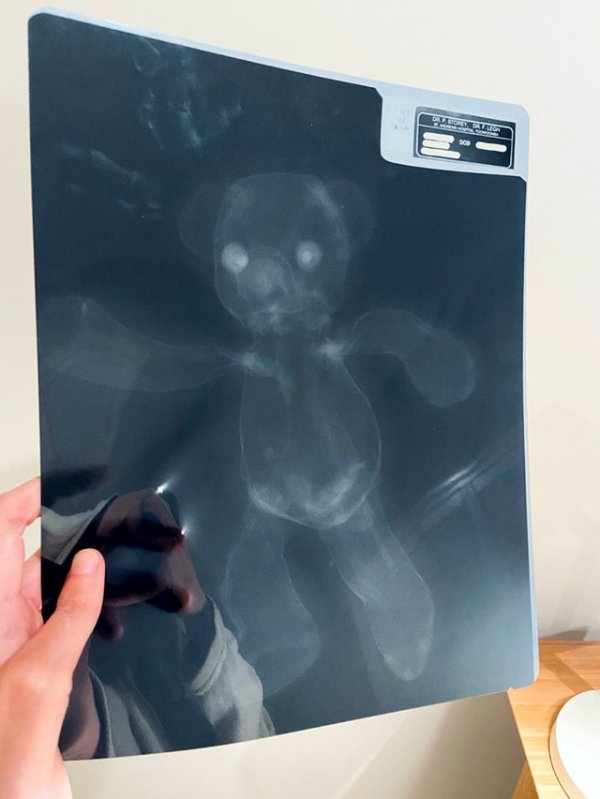 Рентген медвежонка моего детства, сделанный в 90-х
