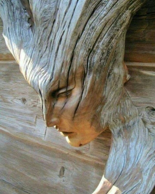 Шедевры из дерева