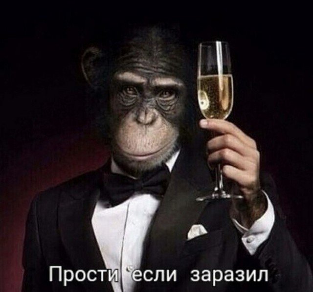 Шутки и мемы про оспу обезьян