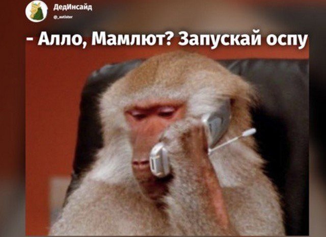 Шутки и мемы про оспу обезьян