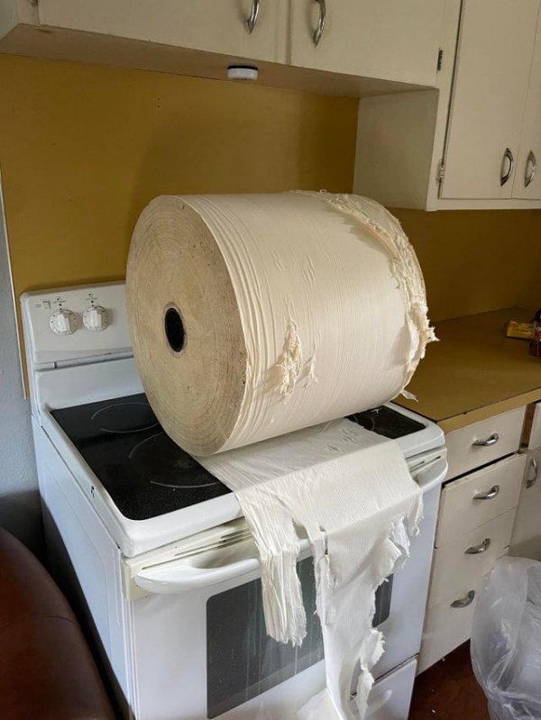 Этому гигантскому рулону туалетной бумаги больше 30 лет